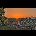 Κρήτη
