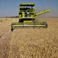 Συμφωνία Τουρκία-Ρωσίας για το ουκρανικό σιτάρι 