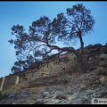 Νικήτας