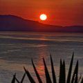 Χανια
