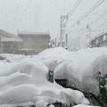 Ιαπωνία - Χιόνια