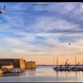Κούλες