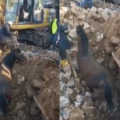 σεισμός Τουρκία