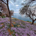 άνοιξη