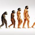 εξελιξη ανθρωπου
