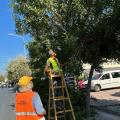 Μαλεβίζι: Εκτεταμένες δράσεις συντήρησης πρασίνου στην Αμμουδάρα