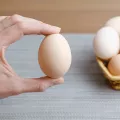 αυγα