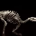 δεινοσαυρος