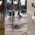 κακοκαιρια