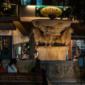 Λιοντάρια