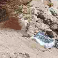 Κρήτη: Ανέσυραν νεκρή γυναίκα από γκρεμό