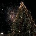 Χριστουγεννιατικο δέντρο Χαλκιδική