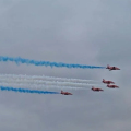 red arrows