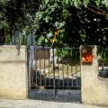 Άνω Λιόσια