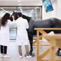 ΕΥΡΩΠΑΙΚΟ ΠΑΝΕΠΙΣΤΗΜΙΟ ΚΥΠΡΟΥ ΚΤΗΝΙΑΤΡΙΚΗ ΣΧΟΛΗ