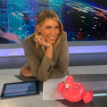 κοσ
