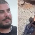 σαλαμινα