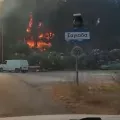φωτια θεσπρωτια