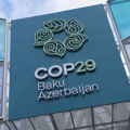 COP29