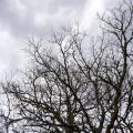 συννεφιά (φωτογραφία από create.vista.com)