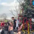δέντρο κωνσταντινούπολη