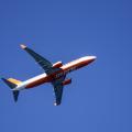 jeju air