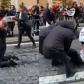παπας ακτιβιστριες