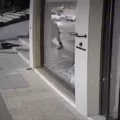 αγρινιο ξυλοδαρμος