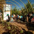 ΔΕΗ και Open Farm 
