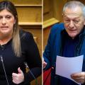 κωνσταντοπούλου παφίλης
