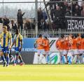 ofi-asteras-kipelo-imitelikos