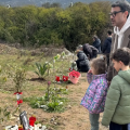 τεμπη