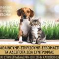 ΑΔΕΣΠΟΤΑ ΣΚΥΛΙΑ