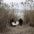 ψαραδες
