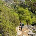 δασος κατσικαντάρας