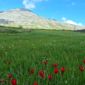 ανοιξη