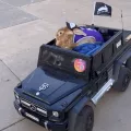 αλεξ κουνελι αμερικη