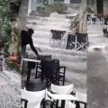 ΒΙΑΝΝΟΣ