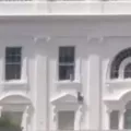 λευκός οικός, βίντεο