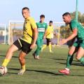 granitis-poa
