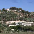 δομή μεταναστών 