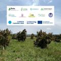 carbonfarmingmed