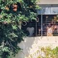 παλιό ψυγείο μετανάστες