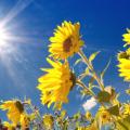 ηλιοφάνεια 