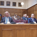 βορίδης επιτροπή