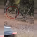 Challenge κωλοπαιδα