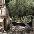 αγιος φανουριος βοακ χανια