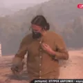 Χελώνα ρεπορτερ
