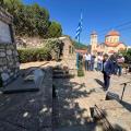 δαμάστα μάραθος