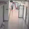 Ταιλανδη